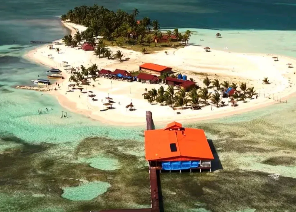 Vista aérea cercana de la isla con sus cabañas y palmeras